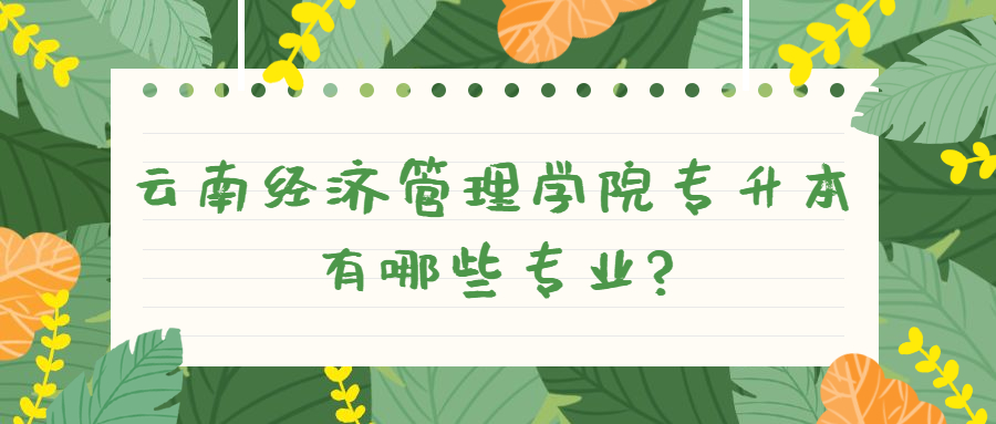 云南经济管理学院专升本有哪些专业?