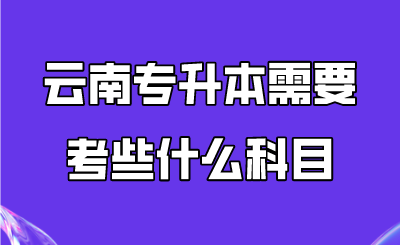 云南专升本需要考些什么科目.png