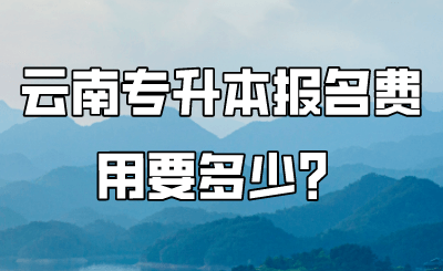 云南专升本报名费用要多少？ 