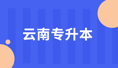 云南统招专升本语文有作文吗？