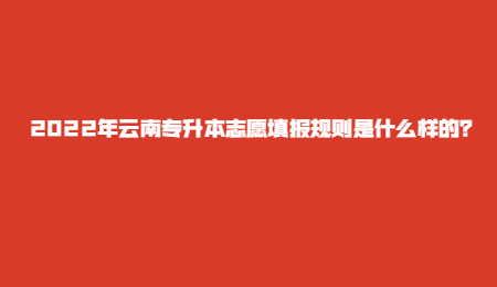 2022年云南专升本志愿填报规则是什么样的？.jpg