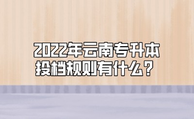 2022年云南专升本投档规则有什么？.jpeg