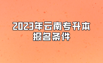 2023年云南专升本报名条件.png