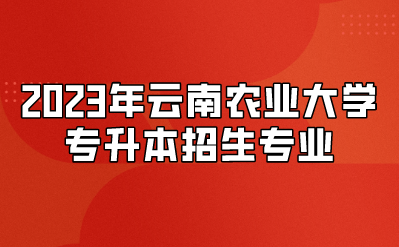 2023年云南农业大学专升本招生专业