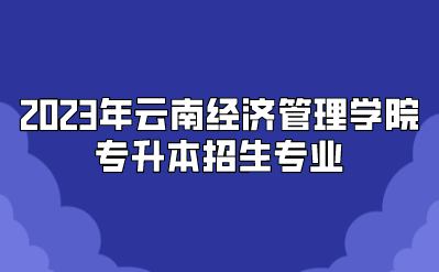 2023年云南经济管理学院专升本招生专业