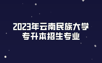 2023年云南民族大学专升本招生专业