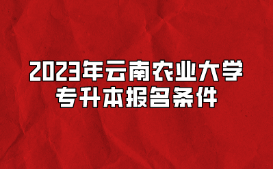 2023年云南农业大学专升本报名条件