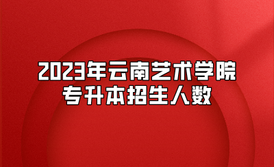 2023年云南艺术学院专升本招生人数