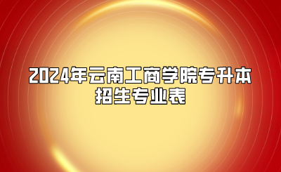 2024年云南工商学院专升本招生专业表