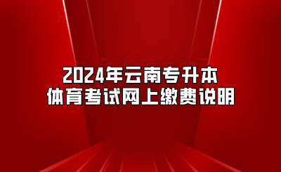 2024年云南专升本体育考试网上缴费说明