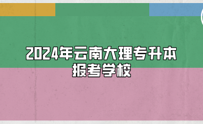 2024年云南大理专升本报考学校