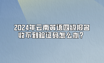 2024年云南英语四级报名收不到验证码怎么办？