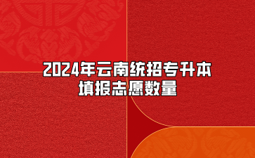 2024年云南统招专升本填报志愿数量