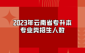 2023年云南省专升本电气类专业招生人数