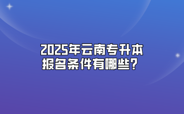 2025年云南专升本报名条件有哪些？